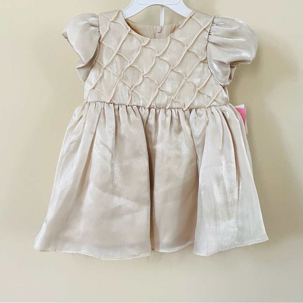RARE EDITIONS Baby Dress Shimmer Organza Puff Sleeve 24 Months Pageant Easter - Picture 4 of 15